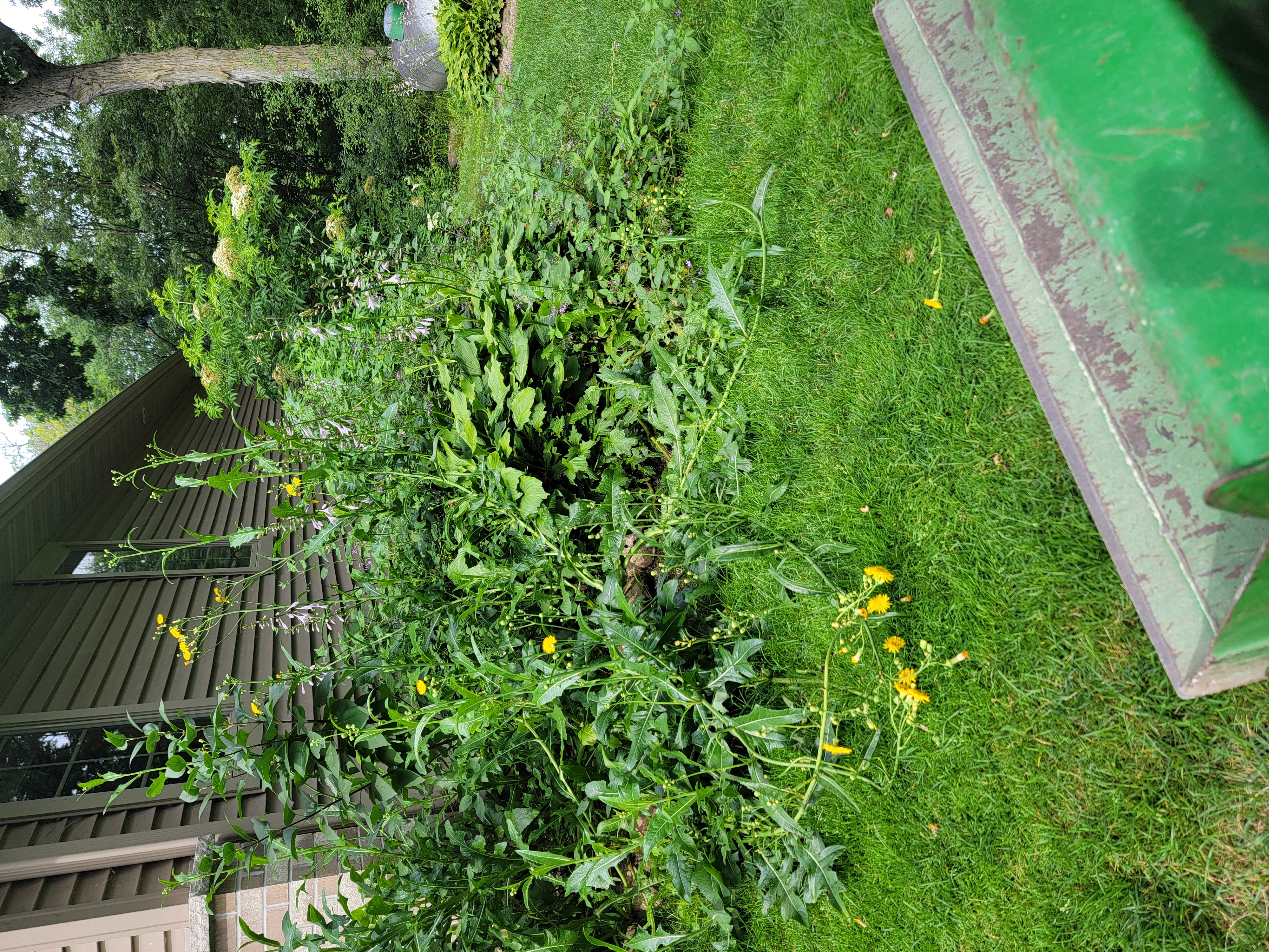 Landscaping - Juneau gallery 3